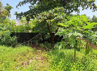 Residential Land for Sale in Alleppey, Alappuzha, Alappuzha