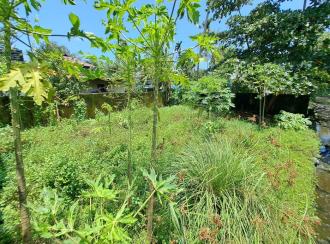 Residential Land for Sale in Alleppey, Alappuzha, Alappuzha
