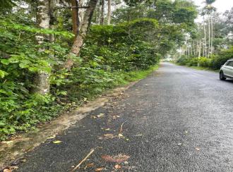 Residential Land for Sale
