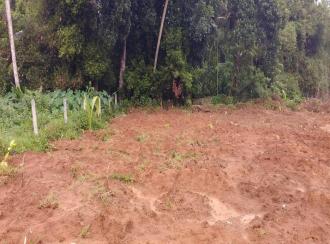 വാസയോഗ്യമായ ഭൂമി വില്പനയ്ക്ക് കോട്ടയം, Kottayam town, Chuttuveli