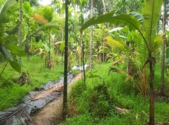 Residential Land for SaleErnakulam, Koonammavu, Koonammavu