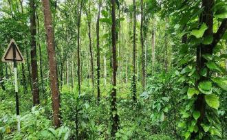 Agricultural Land for SaleKottayam, Changanassery, Nedumkunnam