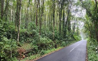 Agricultural Land for Sale in Kottayam, Changanassery, Nedumkunnam