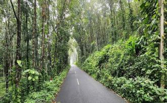 Agricultural Land for Sale in Kottayam, Changanassery, Nedumkunnam