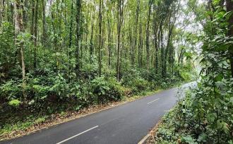 Agricultural Land for Sale in Kottayam, Changanassery, Nedumkunnam