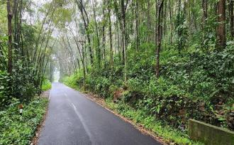 Agricultural Land for Sale in Kottayam, Changanassery, Nedumkunnam