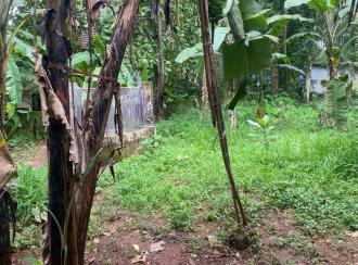 Residential House Villa for Sale in Kozhikode, Feroke , Feroke college