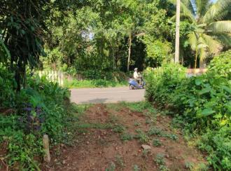 Residential Land, Pathanamthitta