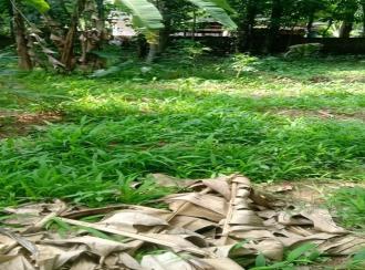 Residential Land for Sale