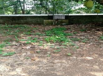 Residential Land for Sale in Ernakulam, Aluva, Pazhanganad