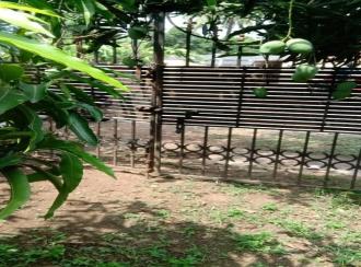 Residential Land for Sale in Ernakulam, Aluva, Pazhanganad