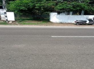 Residential Land for Sale in Ernakulam, Aluva, Pazhanganad