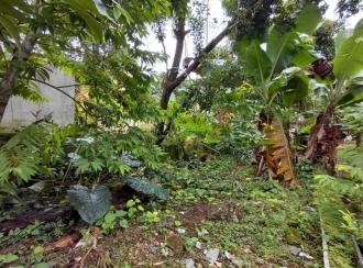 Residential Land for Sale in Pathanamthitta, Thiruvalla, Thiruvalla town
