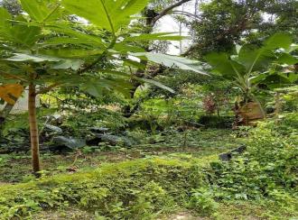 Residential Land for Sale in Pathanamthitta, Thiruvalla, Thiruvalla town