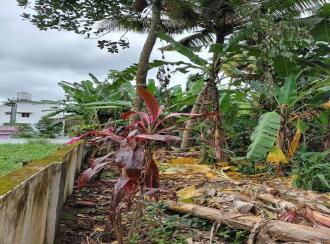 Residential Land for Sale in Pathanamthitta, Thiruvalla, Thiruvalla town