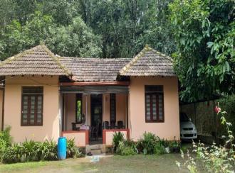 Agricultural Land for Sale in Kannur, Peravoor, Peravoor