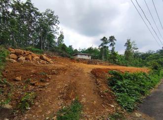 Residential Land for SaleKottayam, Pala, Bharananganam