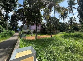 Residential Land for Sale in Thrissur, Thrissur, Palakkal