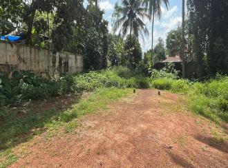 Residential Land for Sale in Thrissur, Thrissur, Palakkal