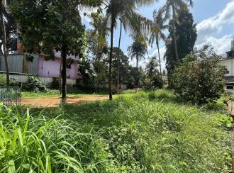 Residential Land for Sale in Thrissur, Thrissur, Palakkal