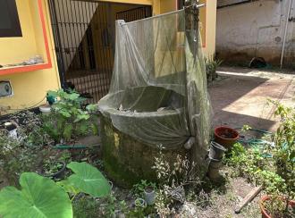 Residential Apartment for Sale in Thrissur, Guruvayur, Mammiyoor