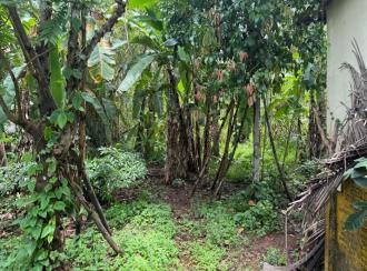 Residential Land for Sale in Pathanamthitta, Thiruvalla, Podiyadi