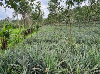 Residential Land for Sale