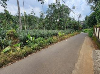 Residential Land for Sale in Idukki, Thodupuzha, Thekkumbhagam