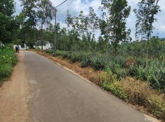 Residential Land for Sale in Idukki, Thodupuzha, Thekkumbhagam