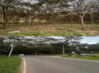 Residential Land for SaleThrissur, Chalakudy, Vettilappara