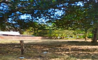 Residential Land for Sale in Thrissur, Thrissur, Velappaya