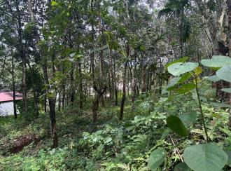 Residential Land for SalePathanamthitta, Ranni, Mandamaruthi