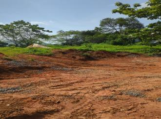 Residential Land for SaleIdukki, Thodupuzha, Vannapuram