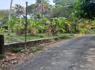Residential Land for SaleThrissur, Irinjalakuda, Aripalam