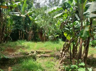 Residential Land for SaleKollam, Punalur, Mathra