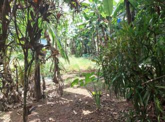 Residential Land for Sale in Kollam, Punalur, Mathra