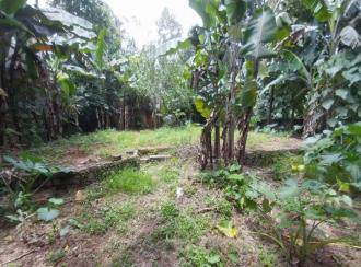 Residential Land for Sale in Kollam, Punalur, Mathra