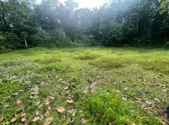 Residential Land for SaleKottayam, Ettumanoor, Vempally