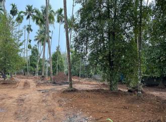 Residential Land for Sale in Ernakulam, Angamaly, Kidangoor