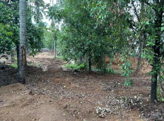 Residential Land for Sale in Ernakulam, Angamaly, Kidangoor