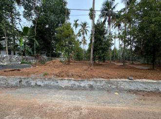 Residential Land for Sale in Ernakulam, Angamaly, Kidangoor