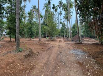 Residential Land for Sale in Ernakulam, Angamaly, Kidangoor