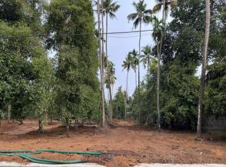 Residential Land for Sale in Ernakulam, Angamaly, Kidangoor