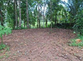 Residential Land for SalePathanamthitta, Thiruvalla, Thollassery