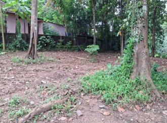 Residential Land for Sale in Pathanamthitta, Thiruvalla, Thollassery
