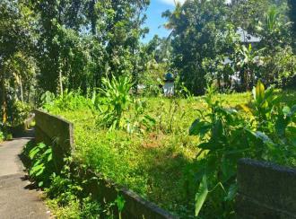 Residential Land for Sale in Kottayam, Mundakayam, Mundakayam