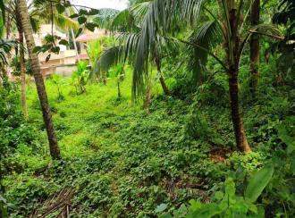 Residential Land for SalePathanamthitta, Pathanamthitta, Elanthoor