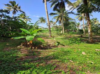 Residential Land for Sale in Pathanamthitta, Thiruvalla, Kizhakkanmuthoor