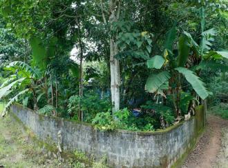 Residential House Villa for Sale in Kottayam, Changanassery, Cheeranchira