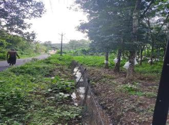 Residential Land for Sale in Kollam, Punalur, Kalayanadu